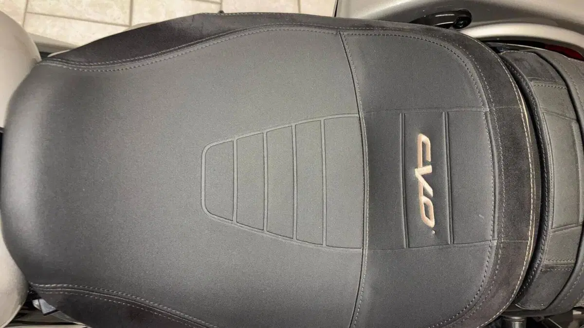 Harley-Davidson CVO Street Glide (2023)  (9)