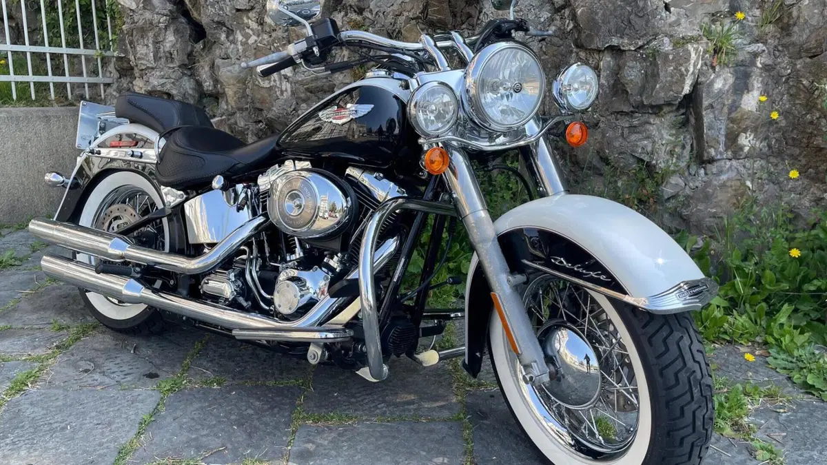Harley-Davidson 1450 Deluxe (2005 - 06) - FLSTNI  (4)