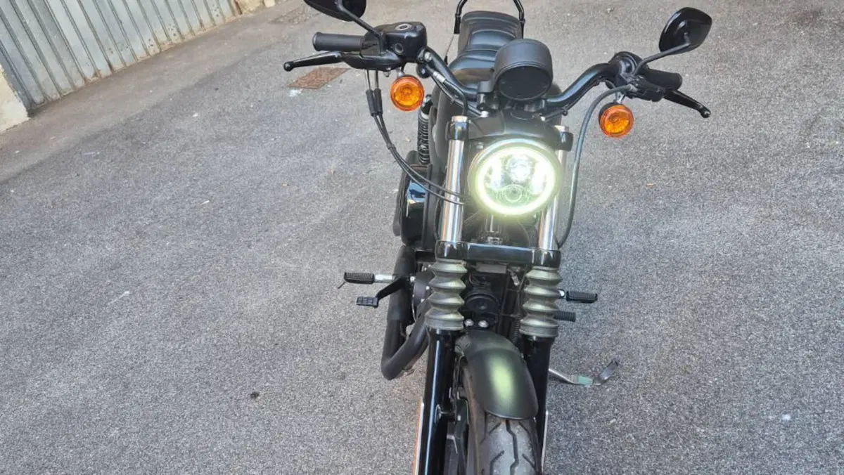 Harley-Davidson 883 Iron (2017 - 20) - XL 883N  (4)