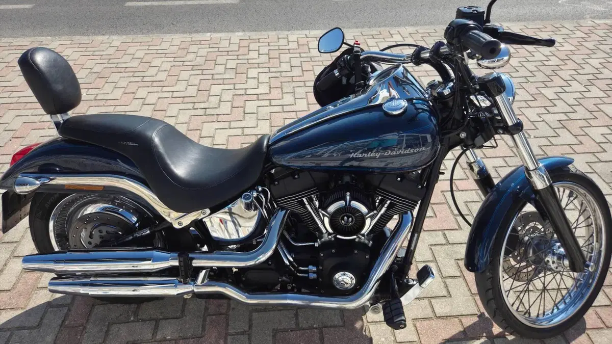 Harley-Davidson 1450 Deuce (2001 - 05) - FXSTDI  (6)