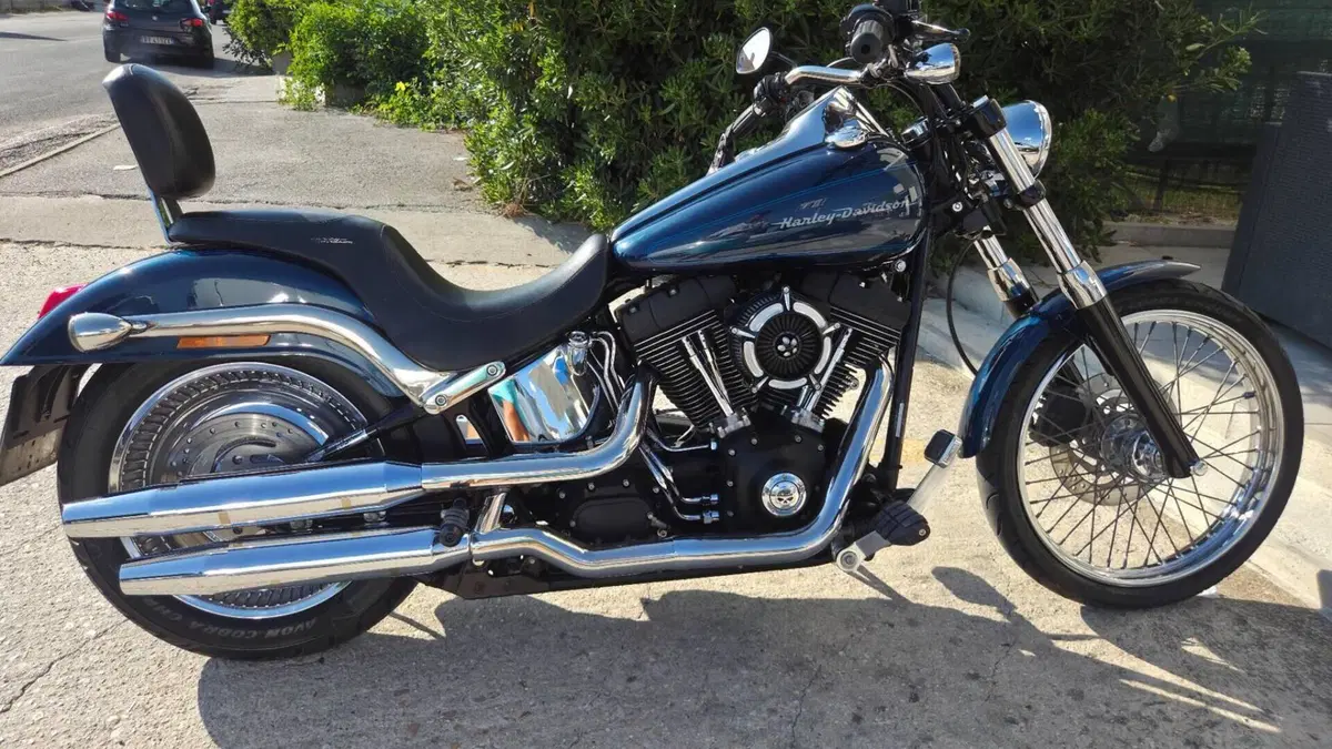 Harley-Davidson 1450 Deuce (2001 - 05) - FXSTDI  (8)