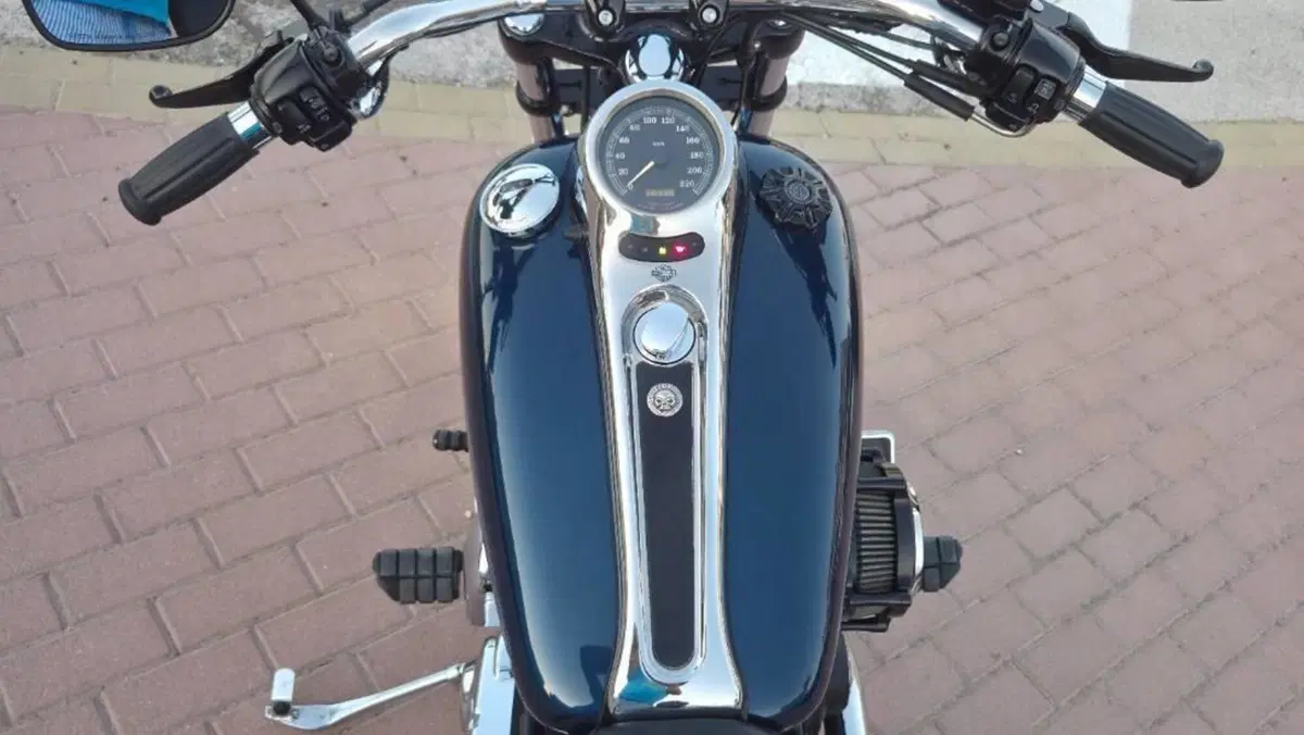 Harley-Davidson 1450 Deuce (2001 - 05) - FXSTDI  (11)