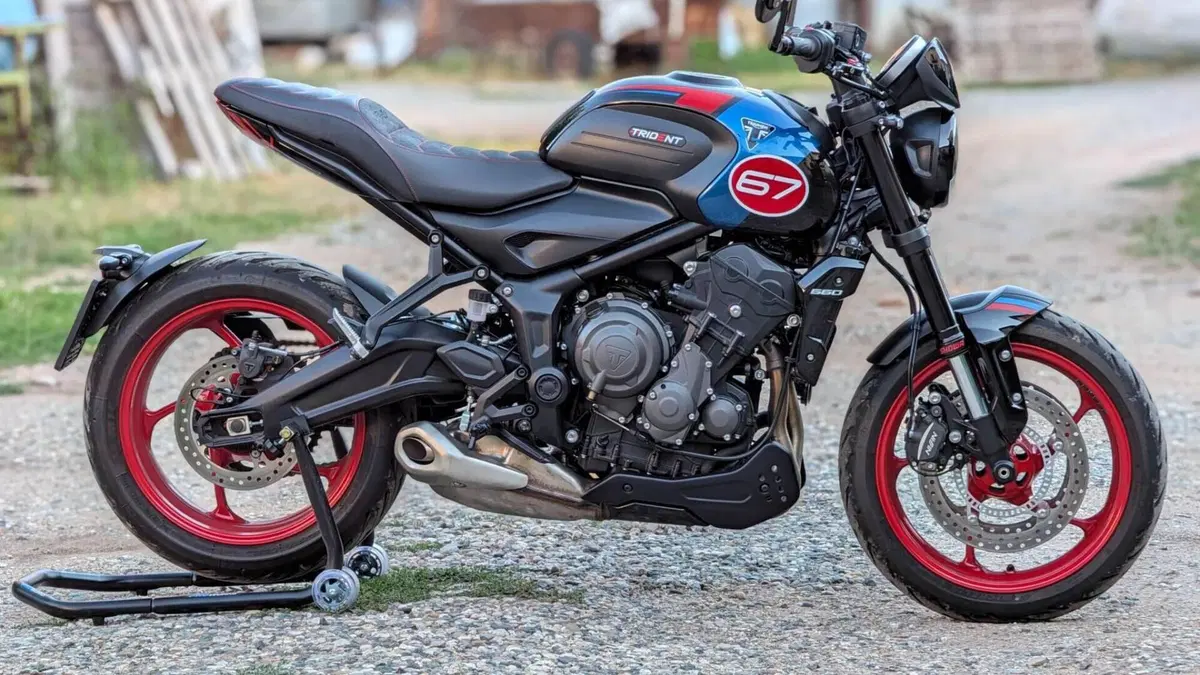 Triumph Trident 660 Triple Tribute Edition (2025 - 26) 
