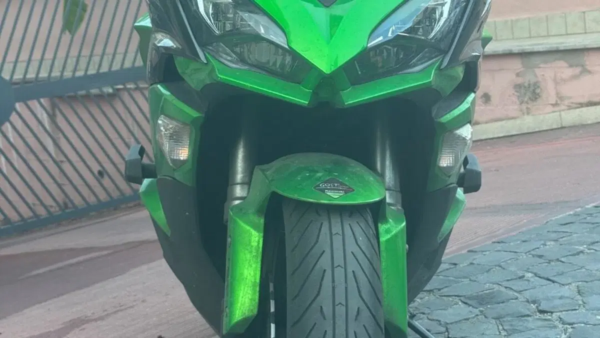 Kawasaki Z 1000 SX (2017 - 20)  (7)
