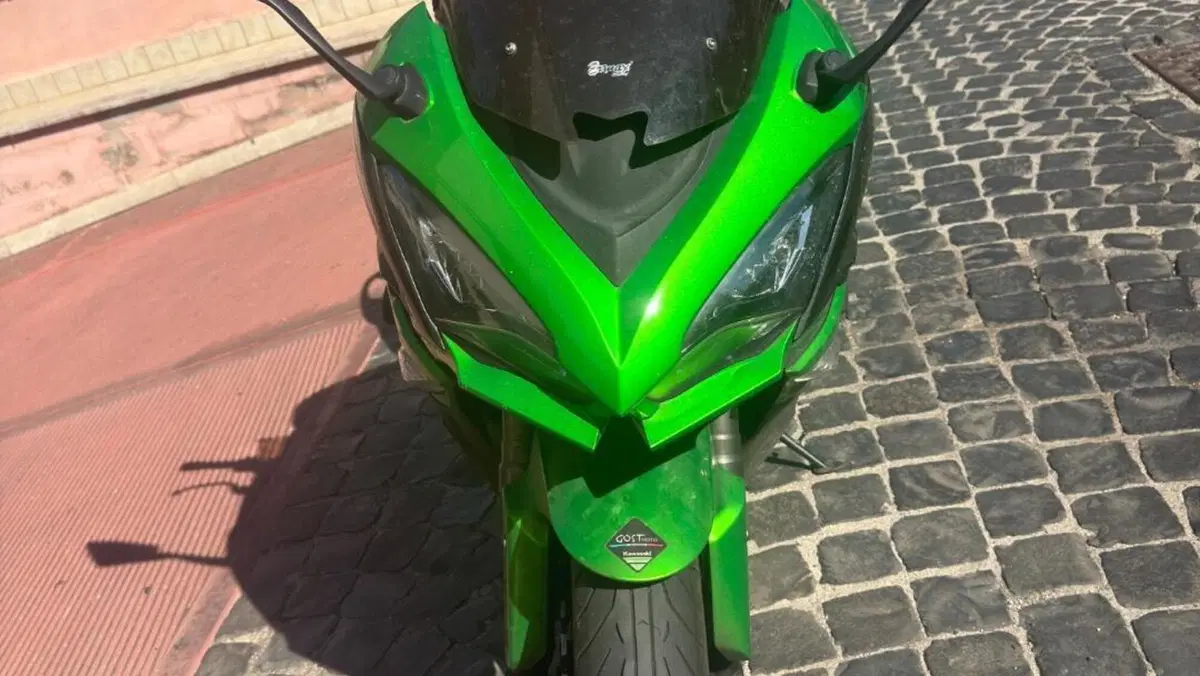 Kawasaki Z 1000 SX (2017 - 20)  (8)