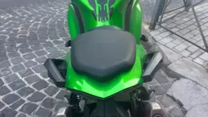 Kawasaki Z 1000 SX (2017 - 20)  (12)