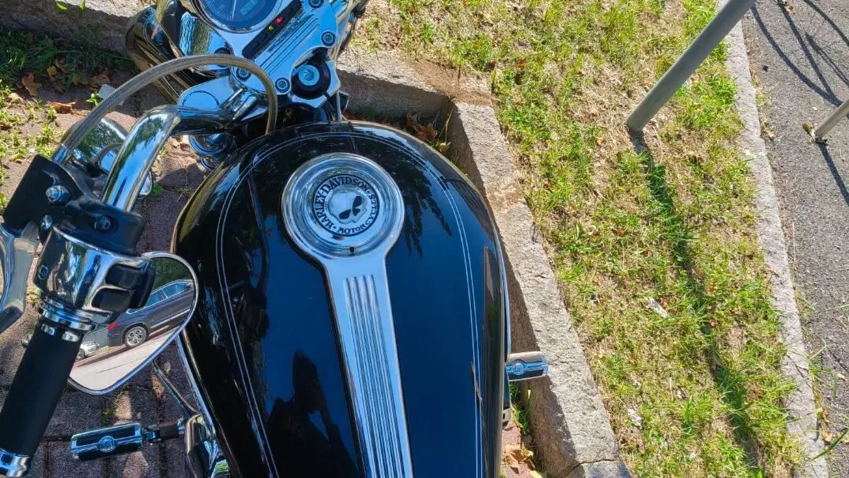 Harley-Davidson 1200 Low (2006 - 07) - XL 1200L  (5)