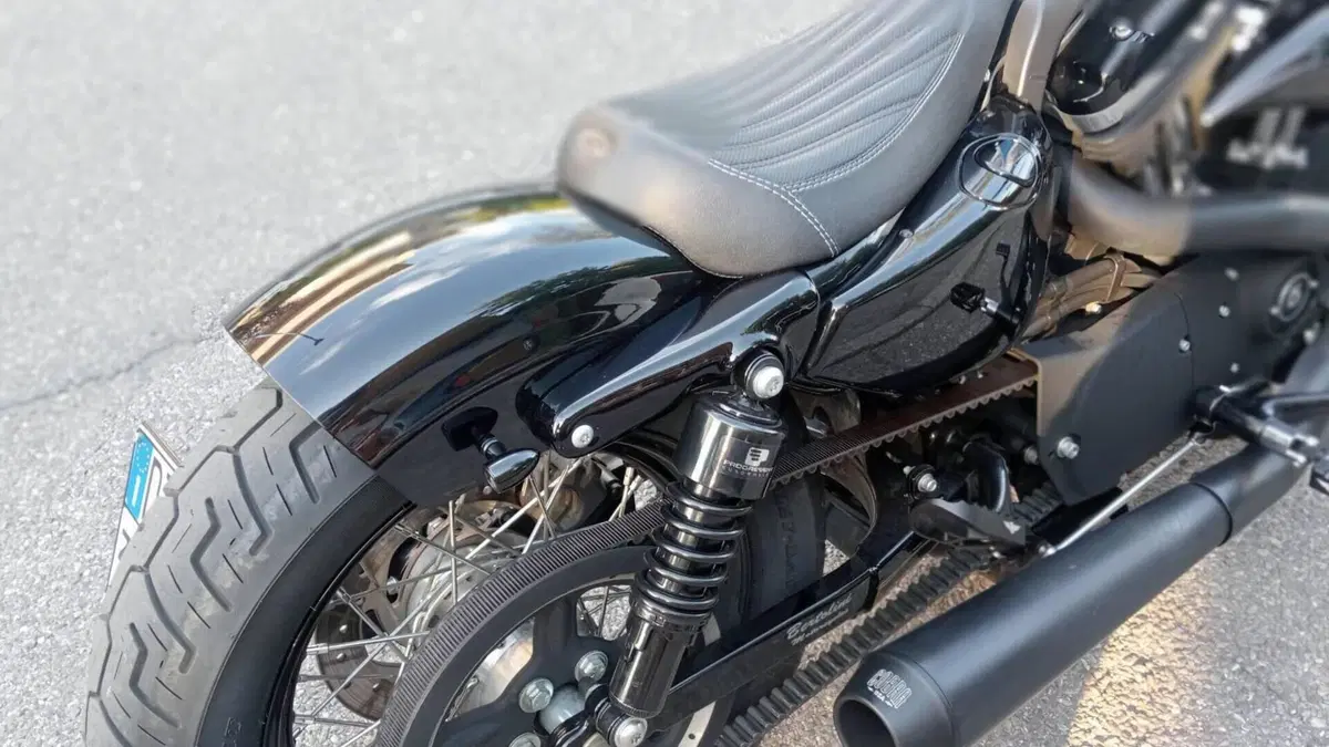 Harley-Davidson 1200 Forty-Eight (2010 - 15)  (5)