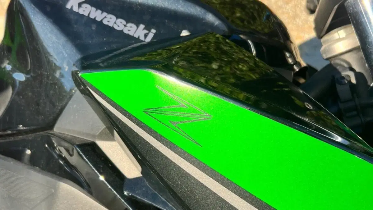 Kawasaki Z 400 (2023)  (4)