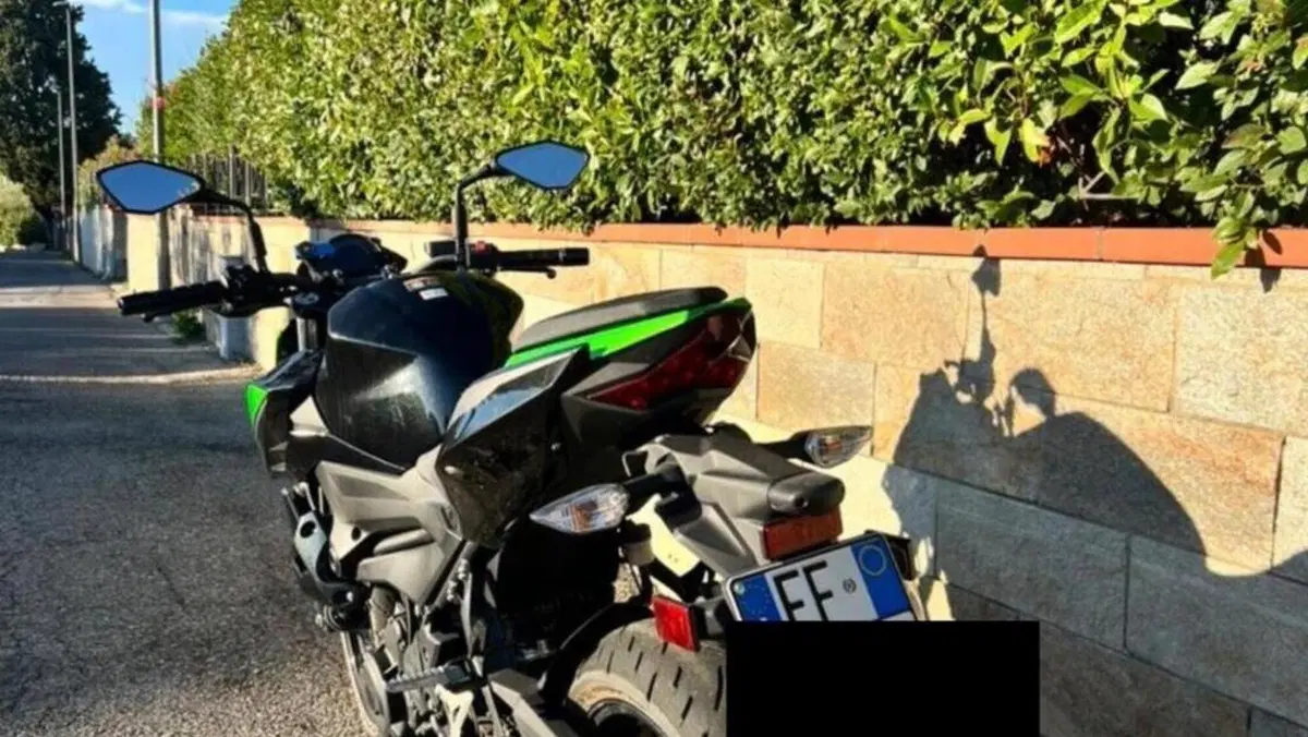 Kawasaki Z 400 (2023)  (9)