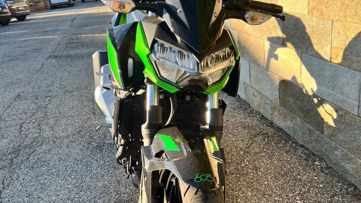 Kawasaki Z 400 (2023)  (11)
