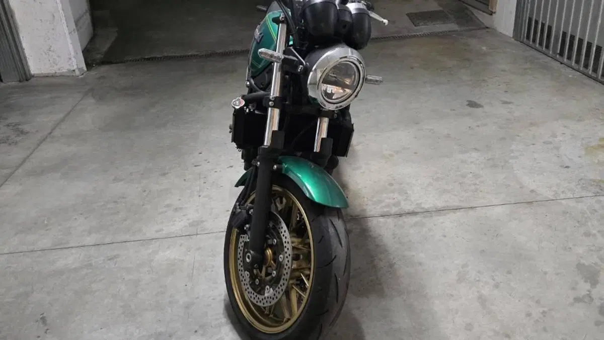 Kawasaki Z 650 RS (2022 - 24) 