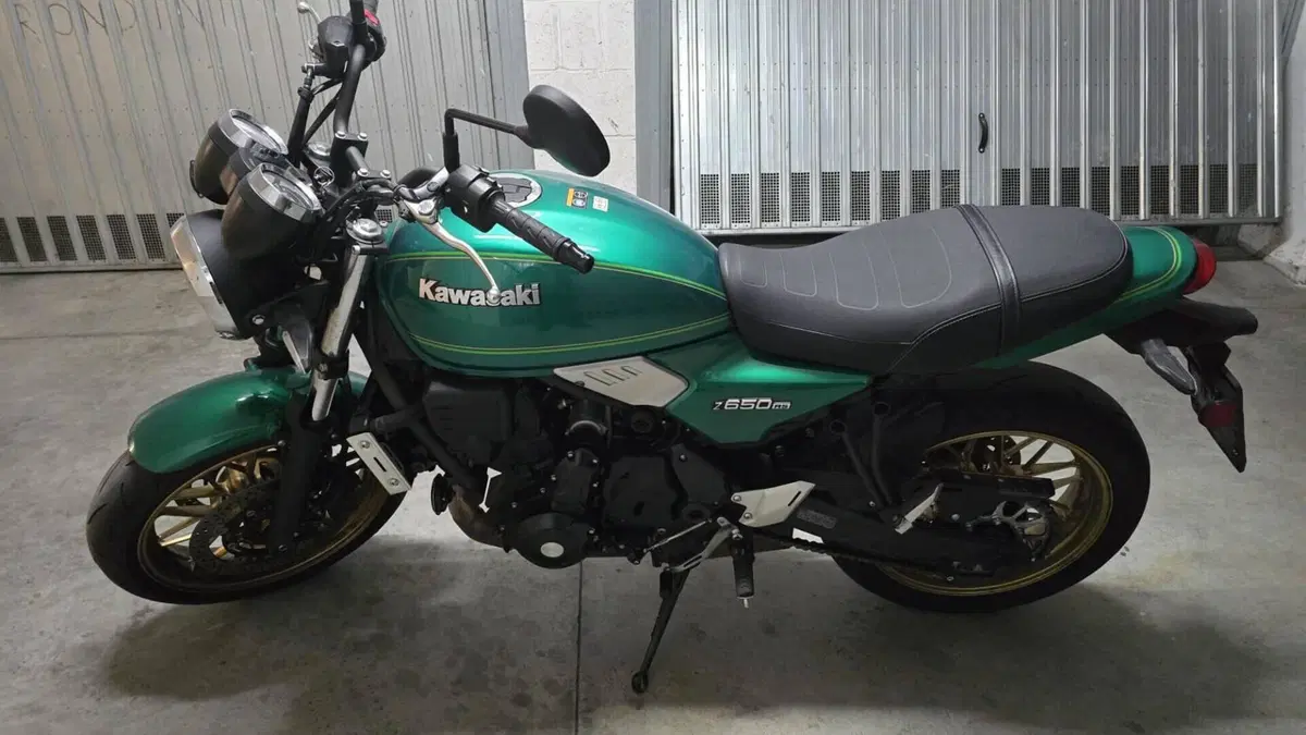 Kawasaki Z 650 RS (2022 - 24)  (5)