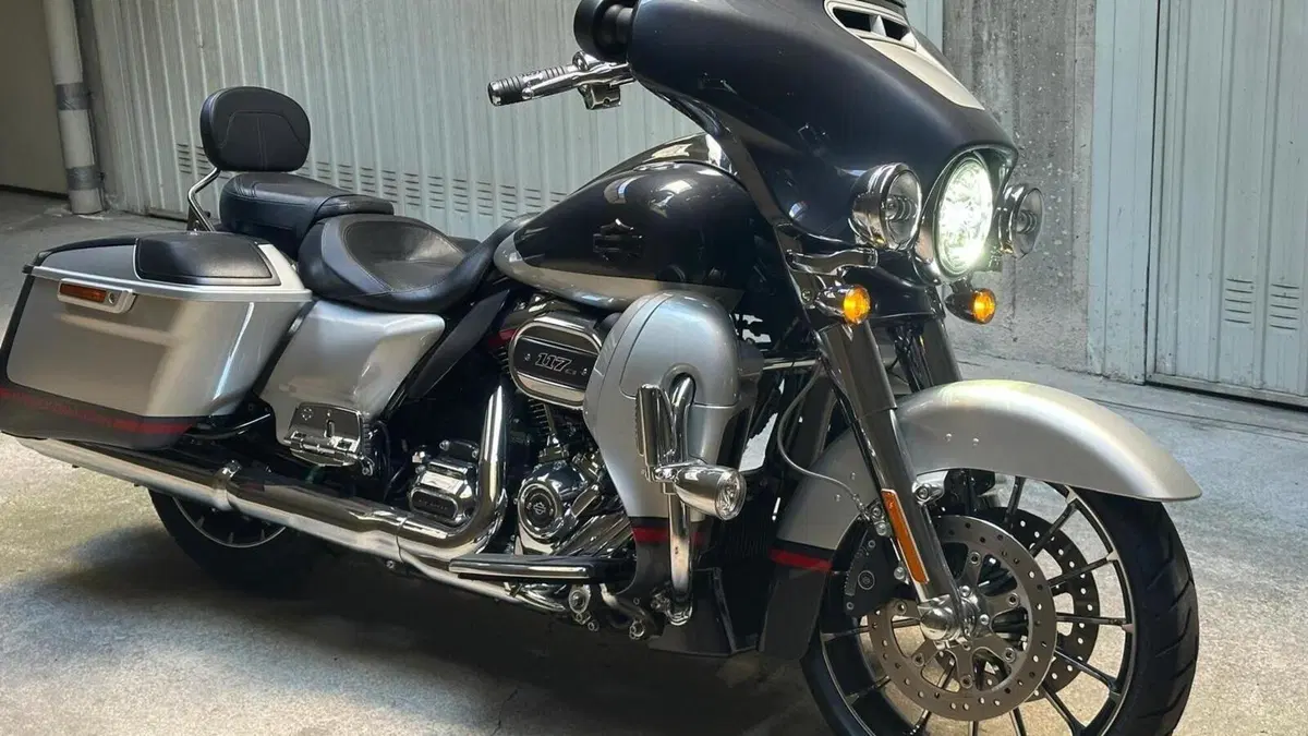Harley-Davidson 107 Sport Glide (2018 - 20)  (6)