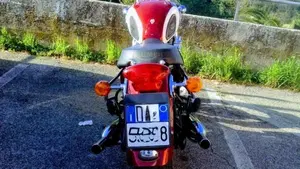 Triumph Thunderbird 900 (2002)  (4)