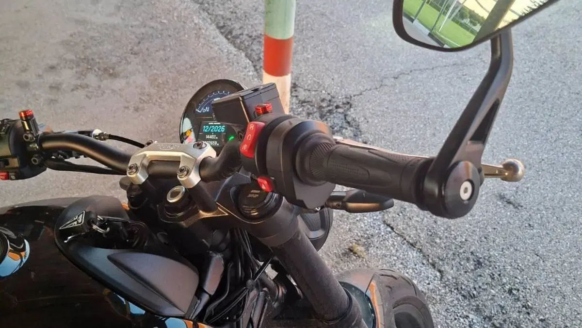 Triumph Trident 660 (2025)  (5)