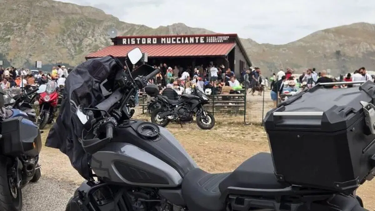 Harley-Davidson Ultra Limited (2022 - 25)  (7)