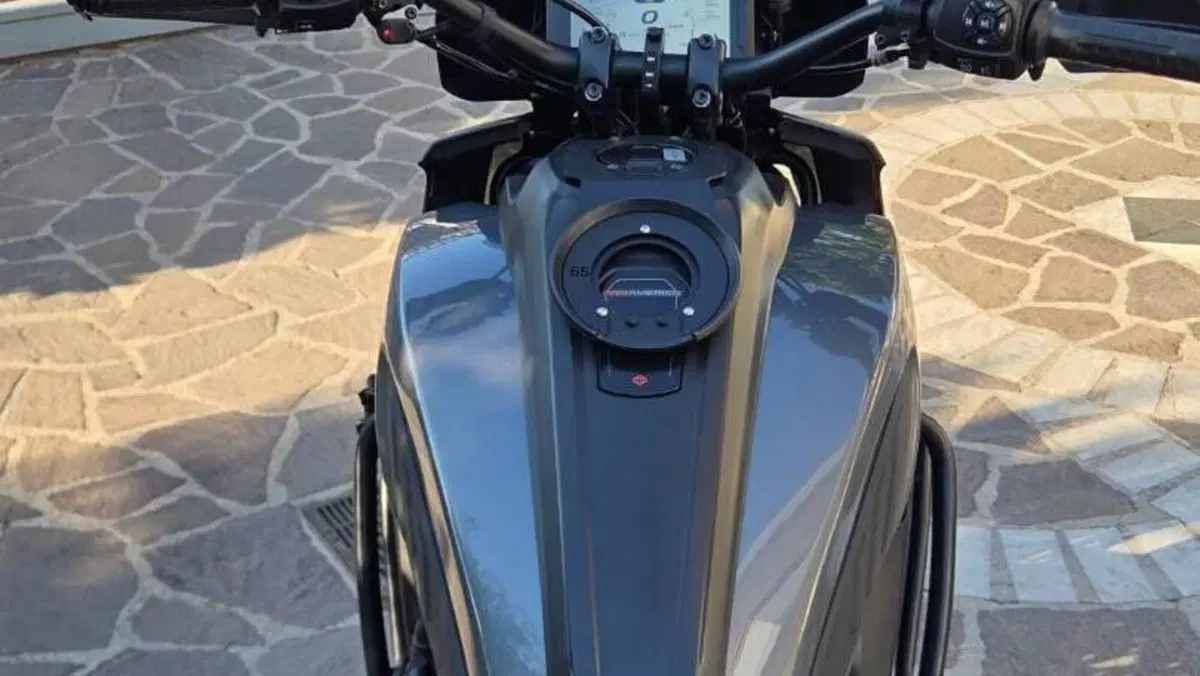 Harley-Davidson Ultra Limited (2022 - 25)  (11)