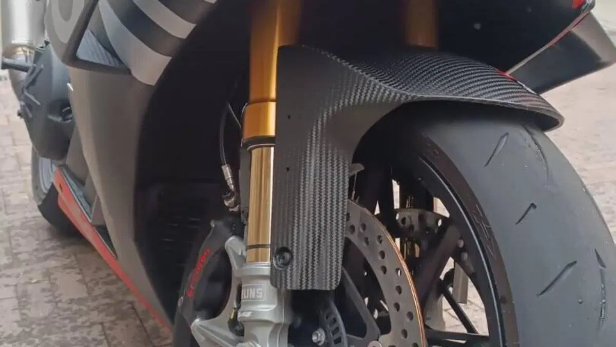 Aprilia RSV4 1100 Factory (2019 - 20)  (6)