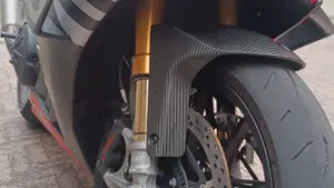 Aprilia RSV4 1100 Factory (2019 - 20)  (6)