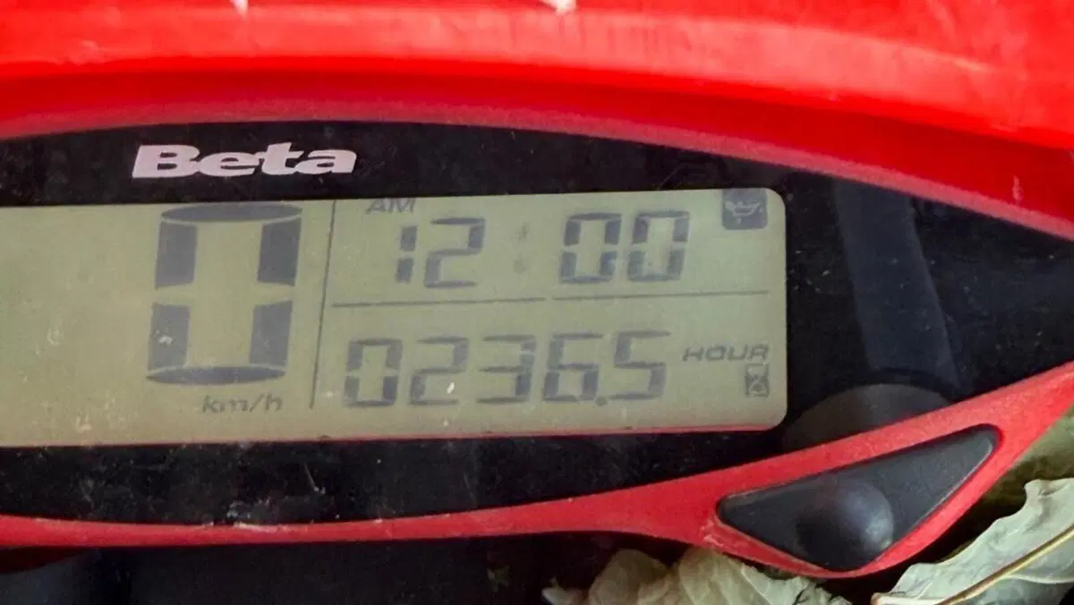 Betamotor RR 300 2T Enduro (2021)  (2)