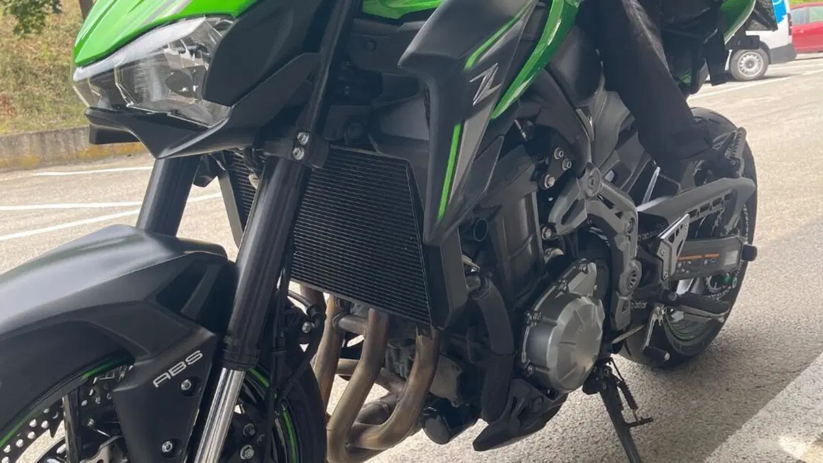 Kawasaki Z 900 (2017 - 18)  (2)