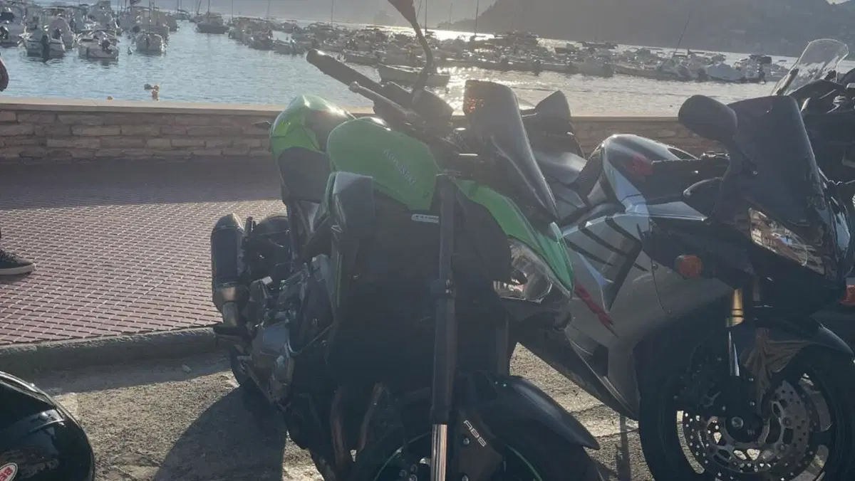 Kawasaki Z 900 (2017 - 18)  (3)