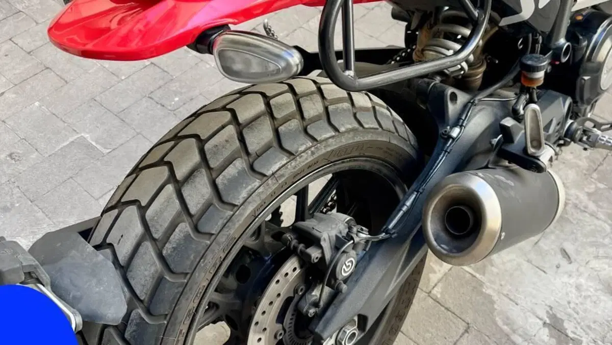 Ducati Scrambler 800 Icon (2023 - 24)  (6)