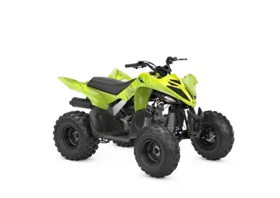  Altre moto o tipologie Quad - Annuncio 10097762