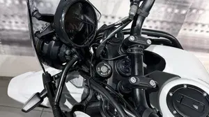 Royal Enfield Himalayan 450 (2024 - 26)  (6)