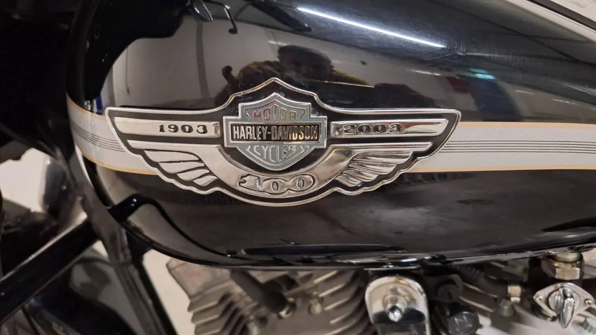 Harley-Davidson 1450 Electra Glide Standard (2002 - 09) - FLHTC  (4)