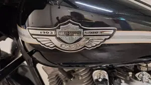 Harley-Davidson 1450 Electra Glide Standard (2002 - 09) - FLHTC  (4)