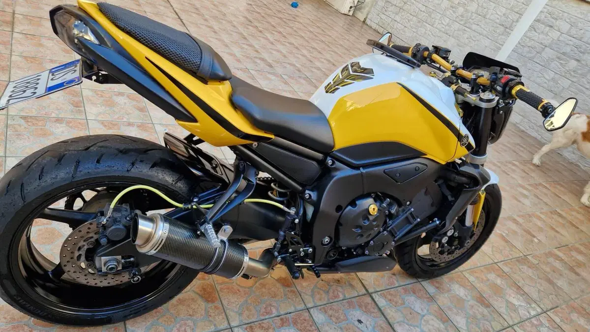 Yamaha FZ1 (2006 - 16)  (3)