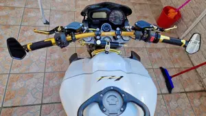 Yamaha FZ1 (2006 - 16)  (9)