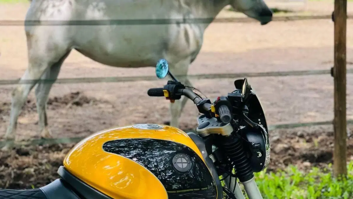 Bmw R 1100 R ABS  (13)