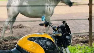 Bmw R 1100 R ABS  (13)