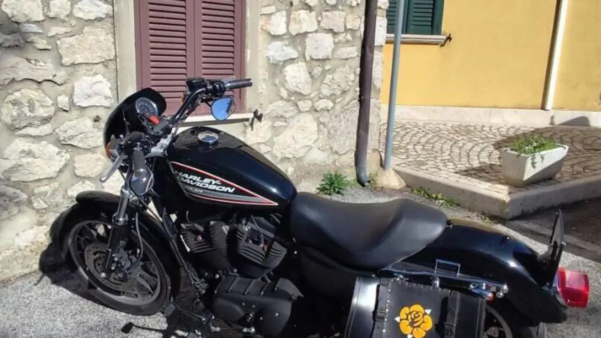 Harley-Davidson 883 R (2008 - 16) - XL 883R  (5)