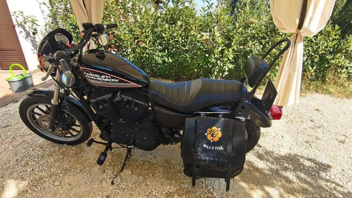 Harley-Davidson 883 R (2008 - 16) - XL 883R  (14)