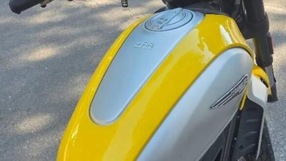 Ducati Scrambler 800 Icon (2023 - 24)  (4)