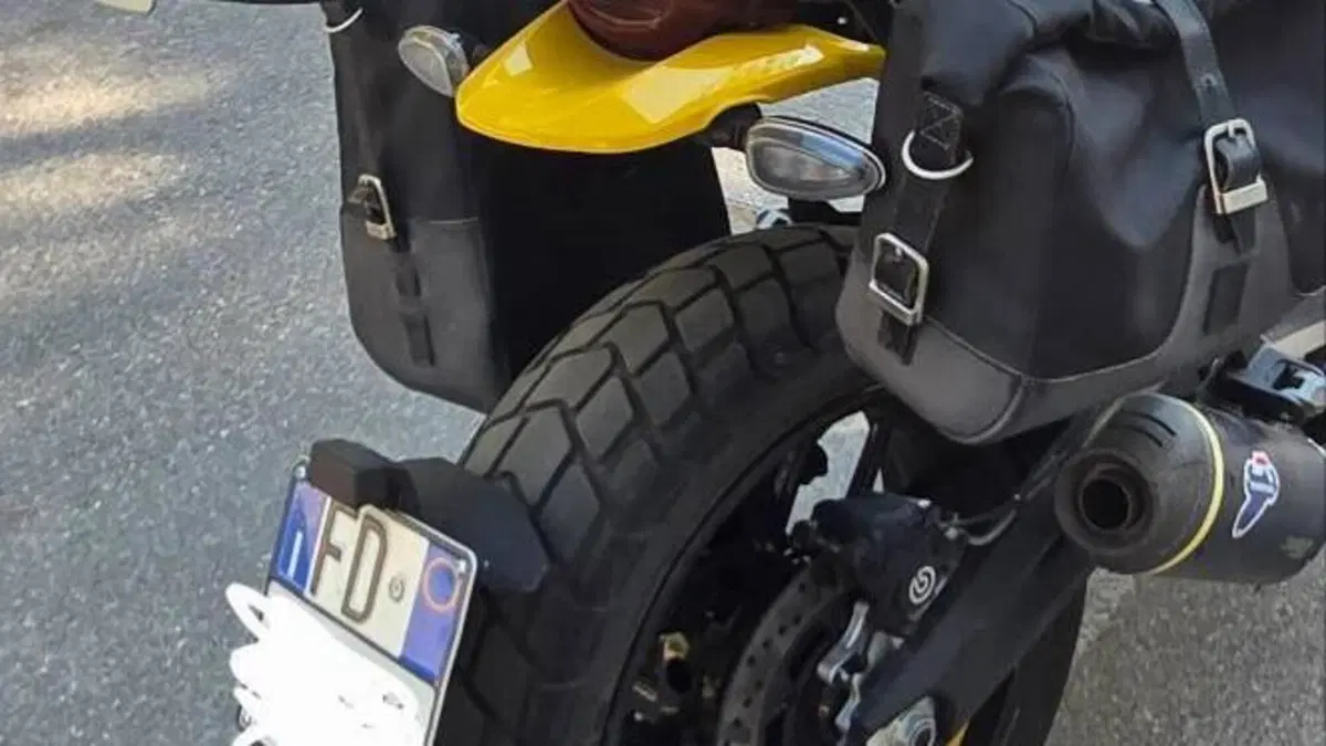Ducati Scrambler 800 Icon (2023 - 24)  (7)