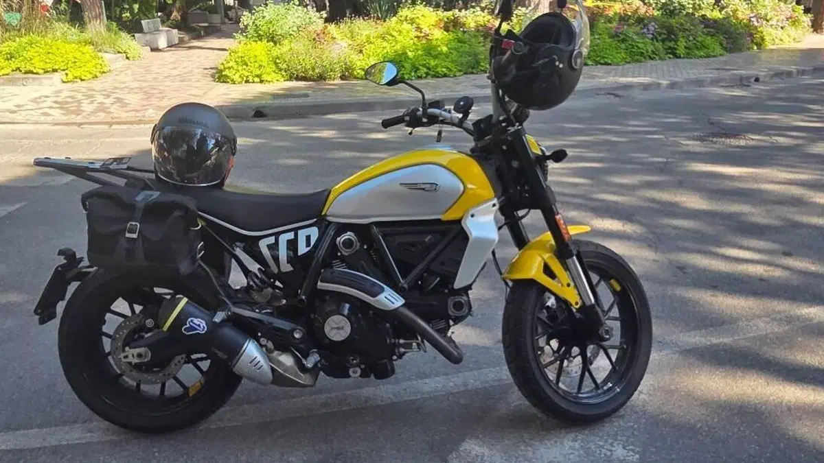 Ducati Scrambler 800 Icon (2023 - 24)  (8)