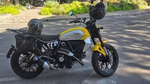 Ducati Scrambler 800 Icon (2023 - 24)  (8)