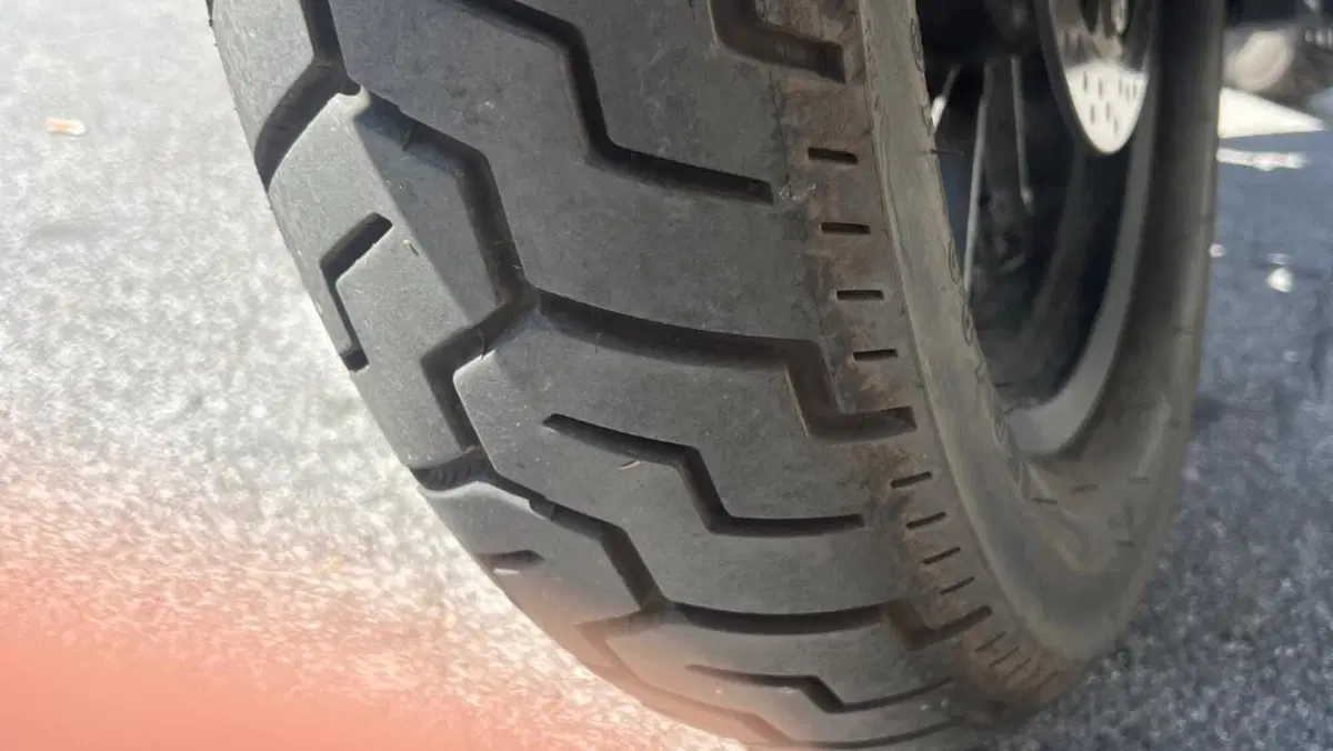 CFMOTO 450CL-C (2024 - 26)  (8)