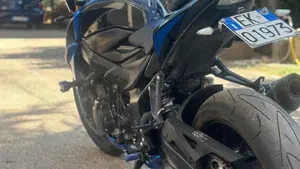 Suzuki GSX S 750 Z ABS (2017 - 20)  (3)