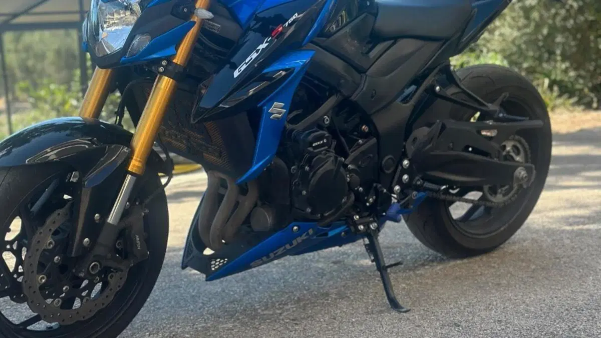 Suzuki GSX S 750 Z ABS (2017 - 20)  (4)