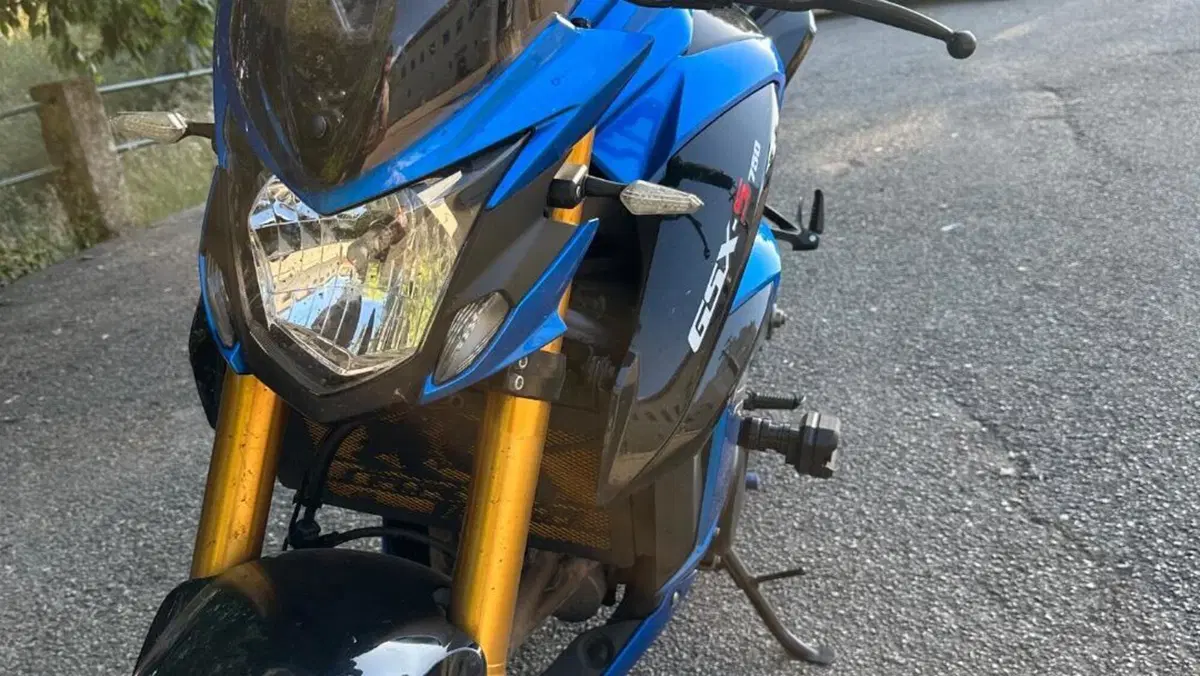 Suzuki GSX S 750 Z ABS (2017 - 20)  (8)