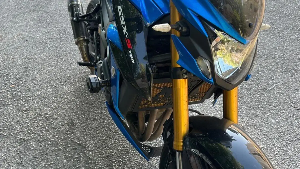 Suzuki GSX S 750 Z ABS (2017 - 20)  (9)