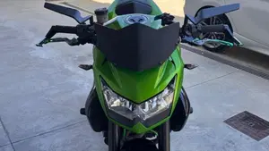 Kawasaki Z 750 R (2011 - 14)  (5)