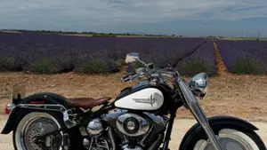 Harley-Davidson 1550 Fat Boy 15th Anniversary (2005) - FLSTFIAE  (3)