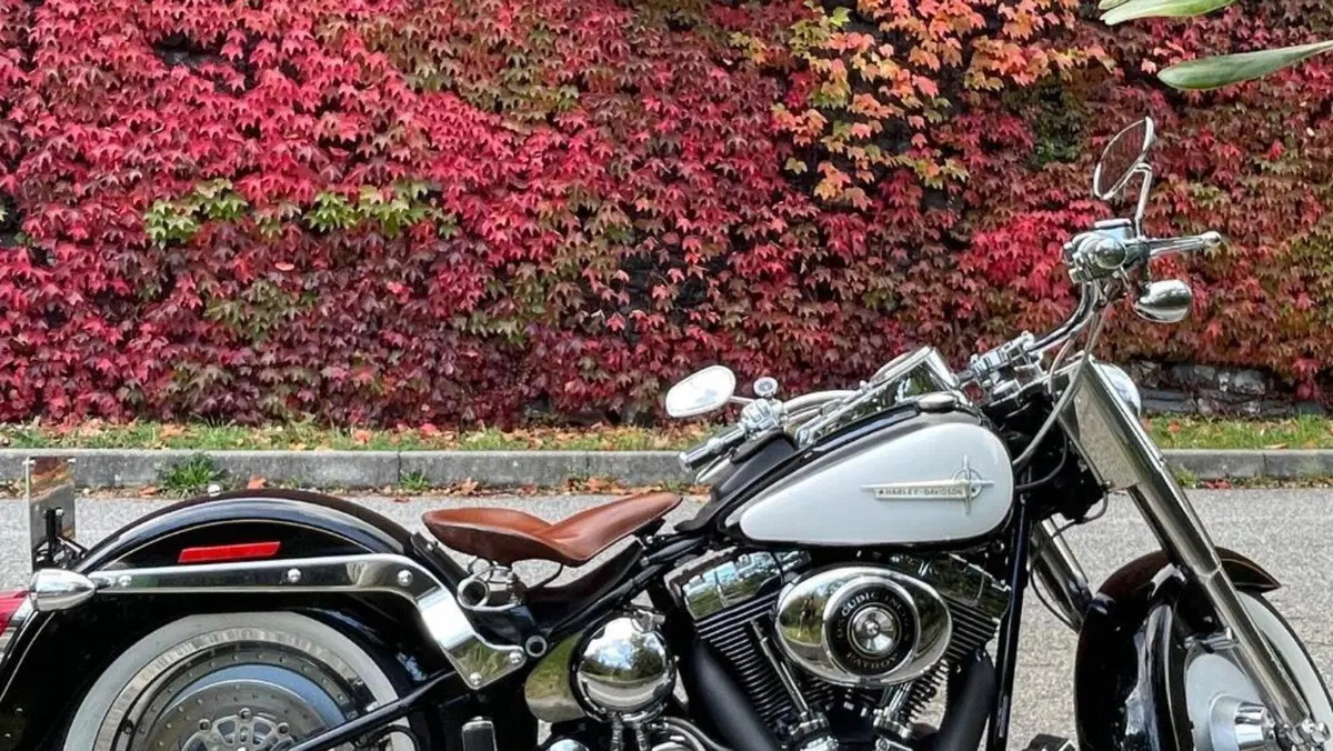 Harley-Davidson 1550 Fat Boy 15th Anniversary (2005) - FLSTFIAE 